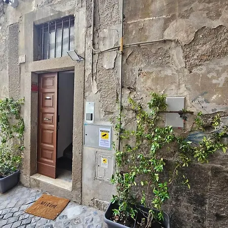 Palazzetto Dei Priori Viterbe