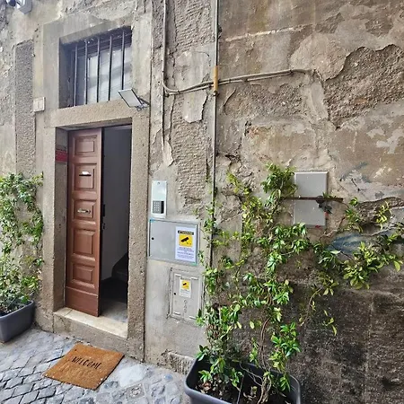 Palazzetto Dei Priori Viterbo